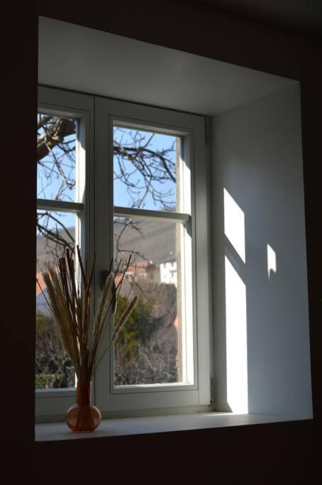 La Douce Escale Apartment Turckheim Bagian luar foto
