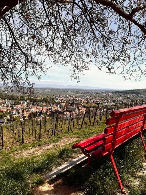 La Douce Escale Apartment Turckheim Bagian luar foto